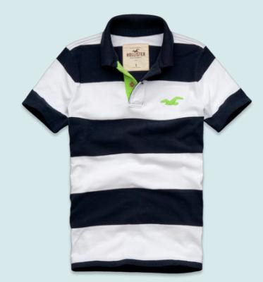 Hollister Men Shirts-442